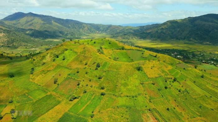 Gia Lai ở miền nào? Hướng dẫn du lịch đầy đủ cho du khách lần đầu đến Tây Nguyên