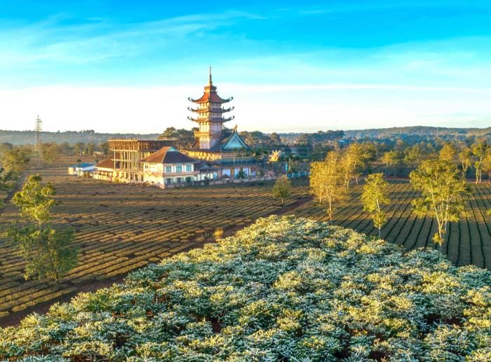 Một vài mẹo hay khi tham quan tại chùa Bửu Minh