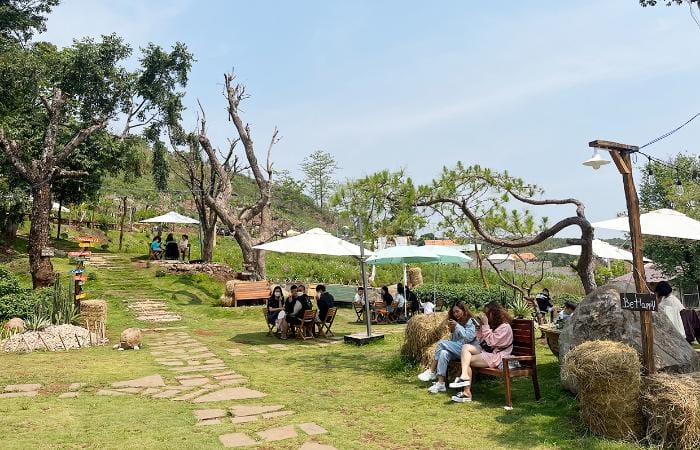 Cafe Sân Vườn Hương Đồng Gió Nội
