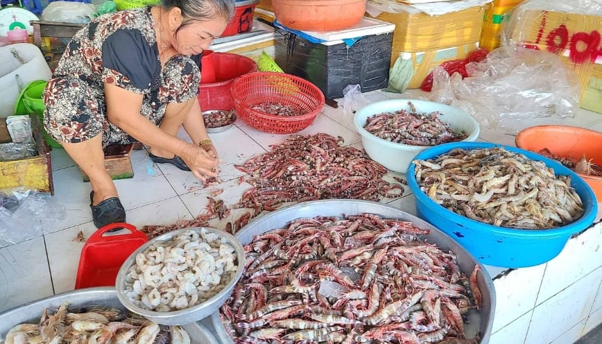 Hành trình khám phá cảng cá và chợ hải sản