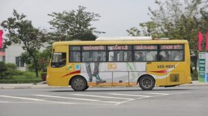 Hệ thống xe buýt liên tỉnh với màu sắc đặc trưng giúp hành khách dễ dàng nhận diện từ xa