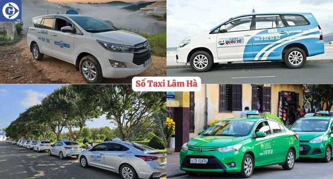 alt: Người dùng tải ứng dụng di động để tìm số taxi tại Lâm Hà