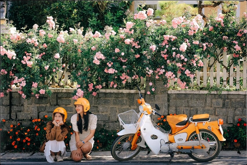 Ảnh minh họa xe Cub 50cc đỏ, một lựa chọn cho học sinh