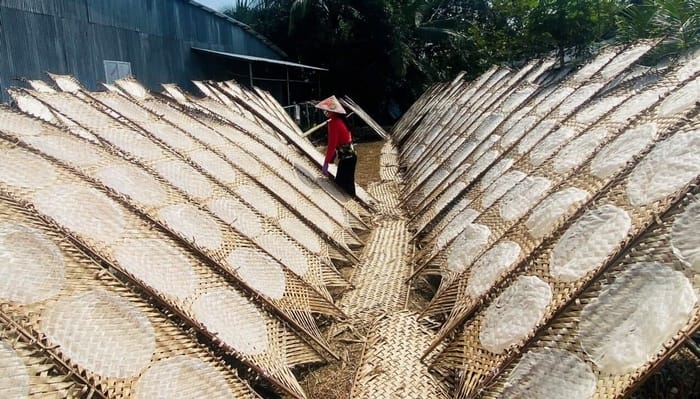 Bánh tráng mì Bình Định làm hoàn toàn thủ công từ bột khoai mì tinh lọc