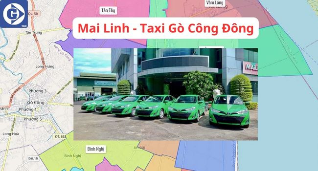 Biểu tượng Mai Linh Taxi tại Gò Công Đông