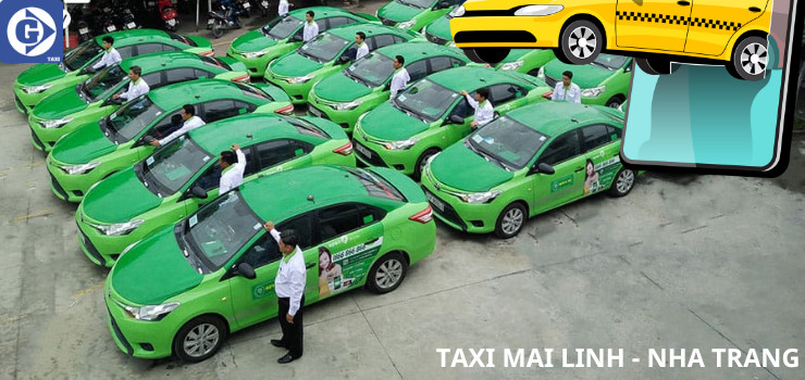 Biểu tượng Taxi Mai Linh quen thuộc tại Khánh Hòa