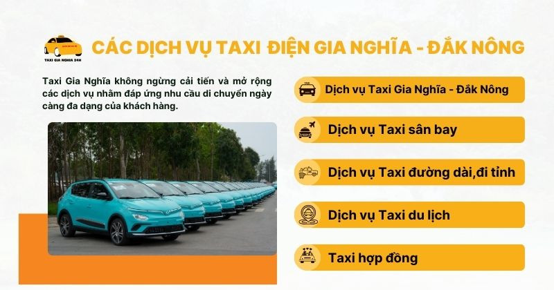 Các loại hình dịch vụ taxi điện Gia Nghĩa đa dạng cho mọi nhu cầu di chuyển