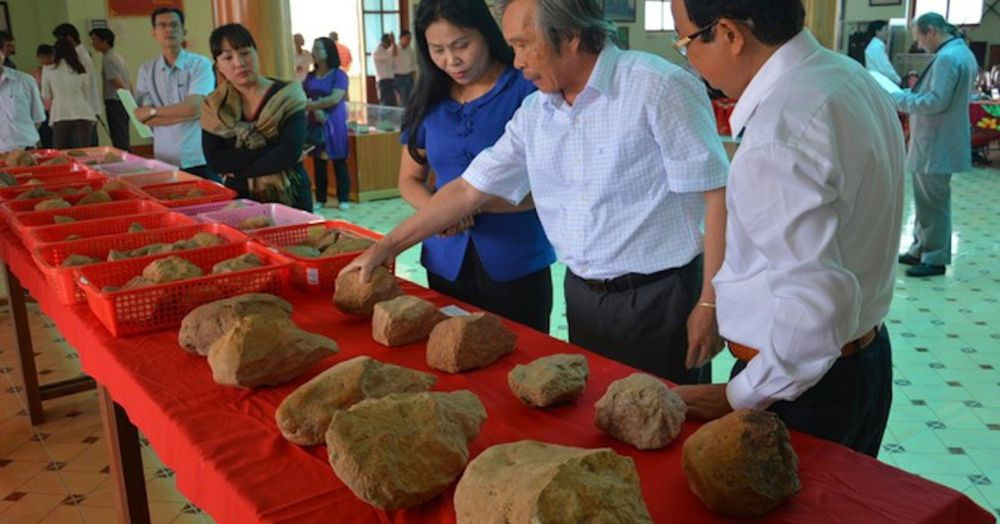Các nhà khảo cổ đang tiến hành khai quật tại một hố khảo cổ ở Gò Đá An Khê