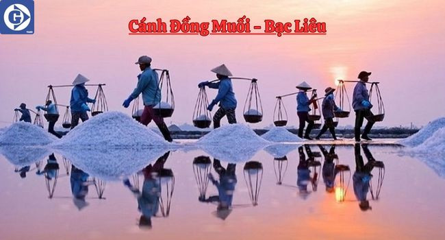 Cánh Đồng Muối Bạc Liêu với những đống muối trắng dưới trời nắng