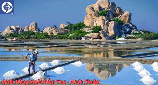 Cánh Đồng Muối Đầm Vua Trắng Tinh