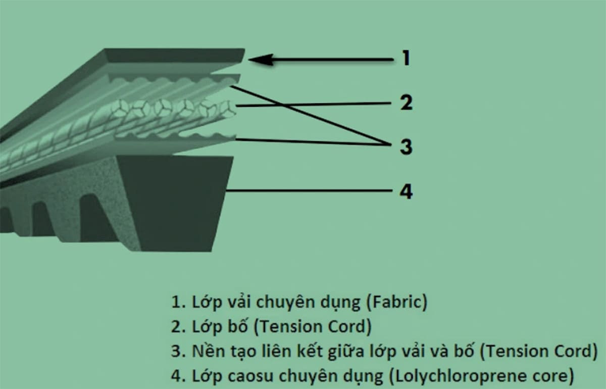 Cấu tạo chi tiết dây curoa bền bỉ trong động cơ