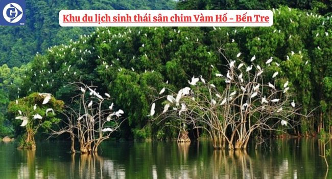 Chim muông cư ngụ tại Sân chim Vàm Hồ