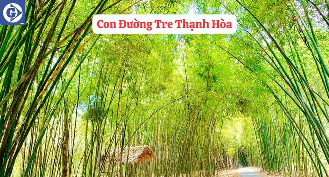 Chợ Nổi Ngã Bảy Hậu Giang Sôi Động Với Các Ghe Thuyền Buôn Bán