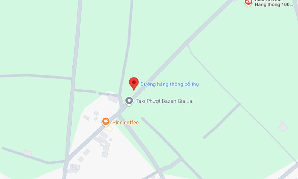 Con đường hàng thông trăm tuổi Gia Lai xanh mướt dẫn lối đến Biển Hồ Chè thơ mộng.