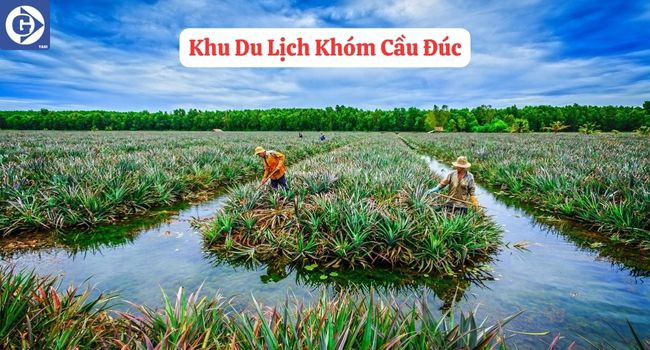 Con Đường Tre Thạnh Hòa Hậu Giang Với Hai Hàng Tre Xanh Mát