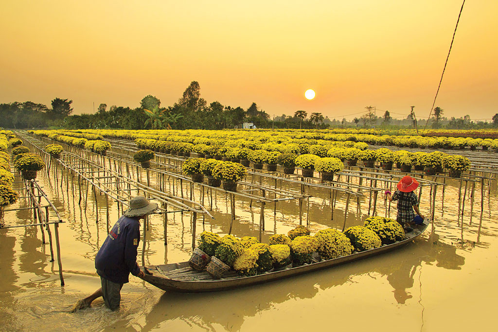 Cuộc sống sôi động trên sông nước gần cung đường phượt ô tô khám phá miền Tây