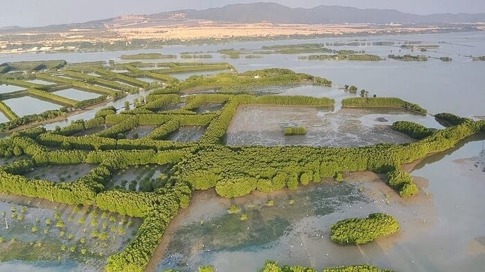 Hệ sinh thái đa dạng tại đây