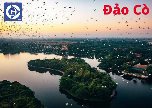 Đàn cò trắng bay lượn trên Đảo Cò Chi Lăng Nam