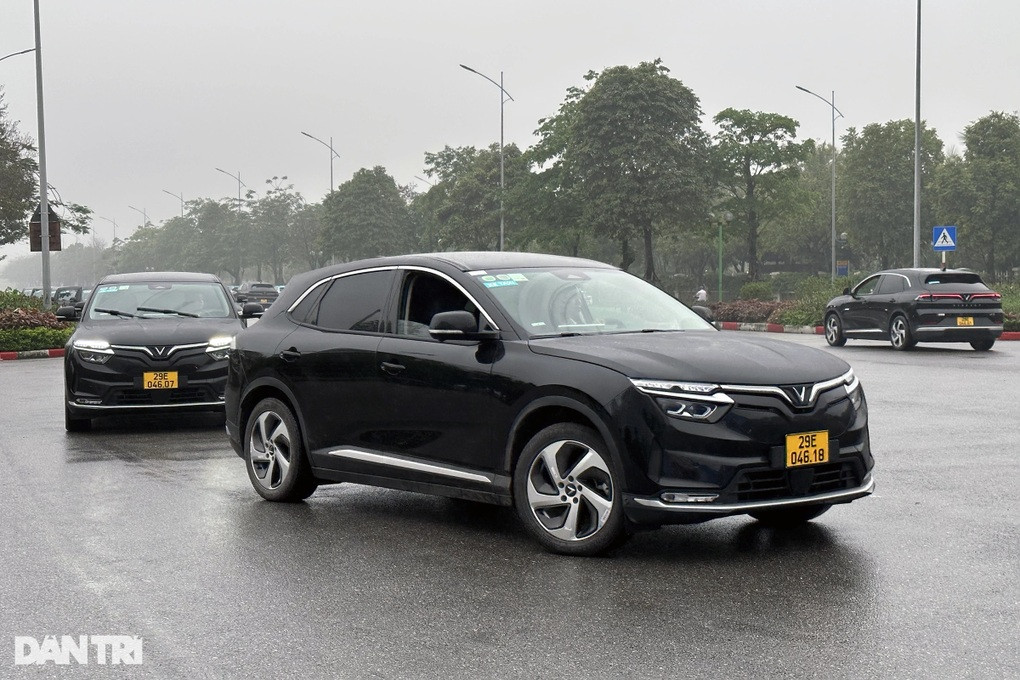 Dàn xe VinFast VF 8 sang trọng phục vụ dịch vụ LuxuryCar của taxi điện Xanh SM, thể hiện đẳng cấp di chuyển