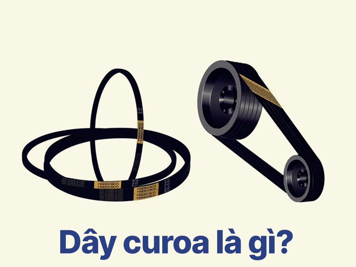 Dây curoa là gì, hình ảnh dây đai truyền động xe ô tô