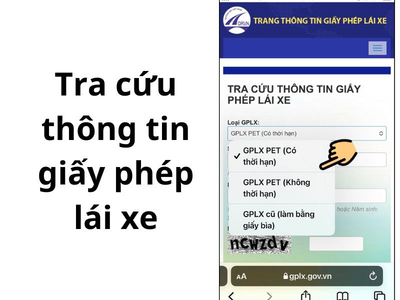 Điền thông tin để tra cứu giấy phép lái xe thật giả trên website