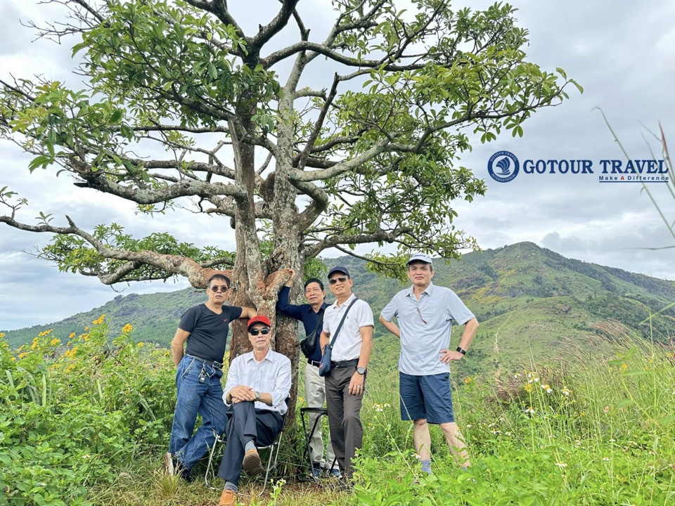 Đoàn khách Cty Gotour chinh phục đỉnh núi lửa Chư Đăng Ya