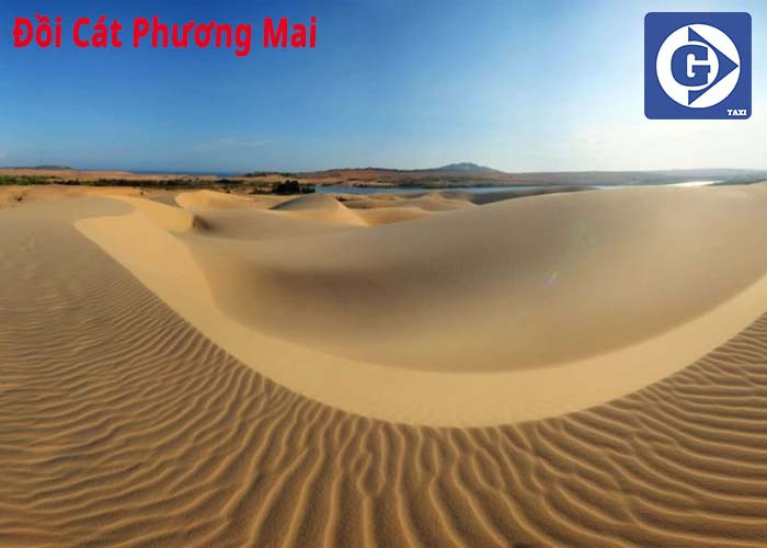 Đồi cát vàng óng tại Phương Mai, điểm check-in du lịch Quy Nhơn