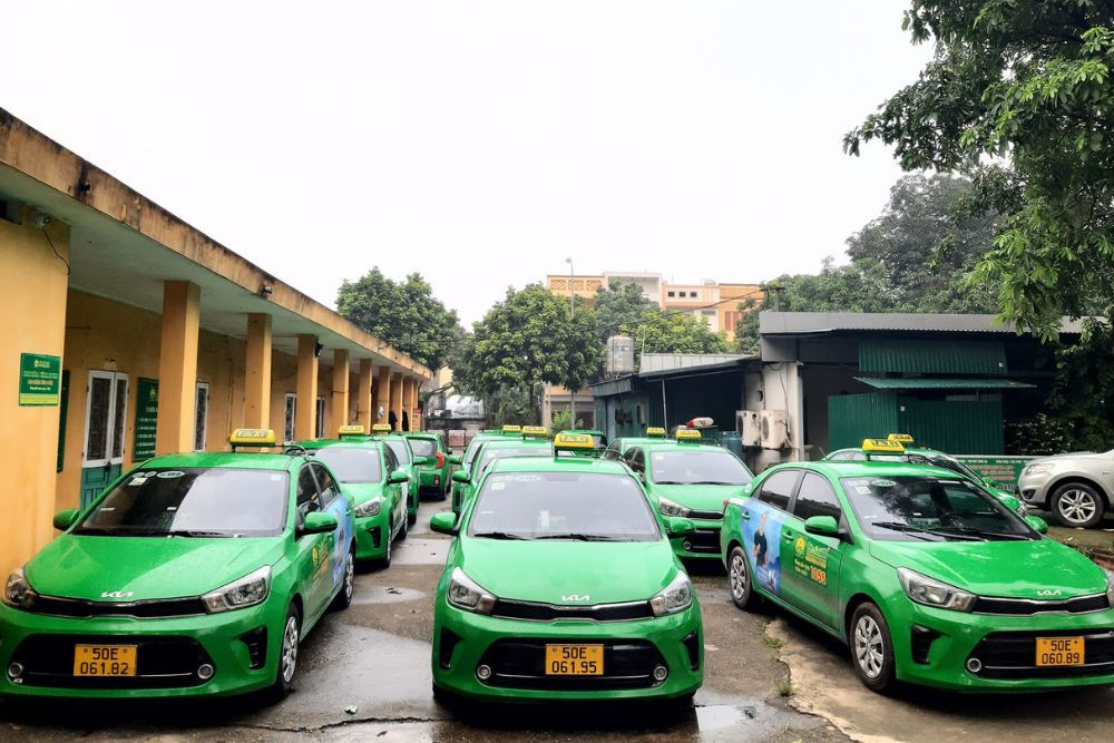 Đội xe đa dạng của Taxi Mai Linh, một lựa chọn phổ biến bên cạnh **taxi xanh Vĩnh Phúc**