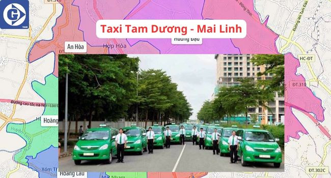 Đội xe Mai Linh Taxi tại Tam Dương đảm bảo chất lượng