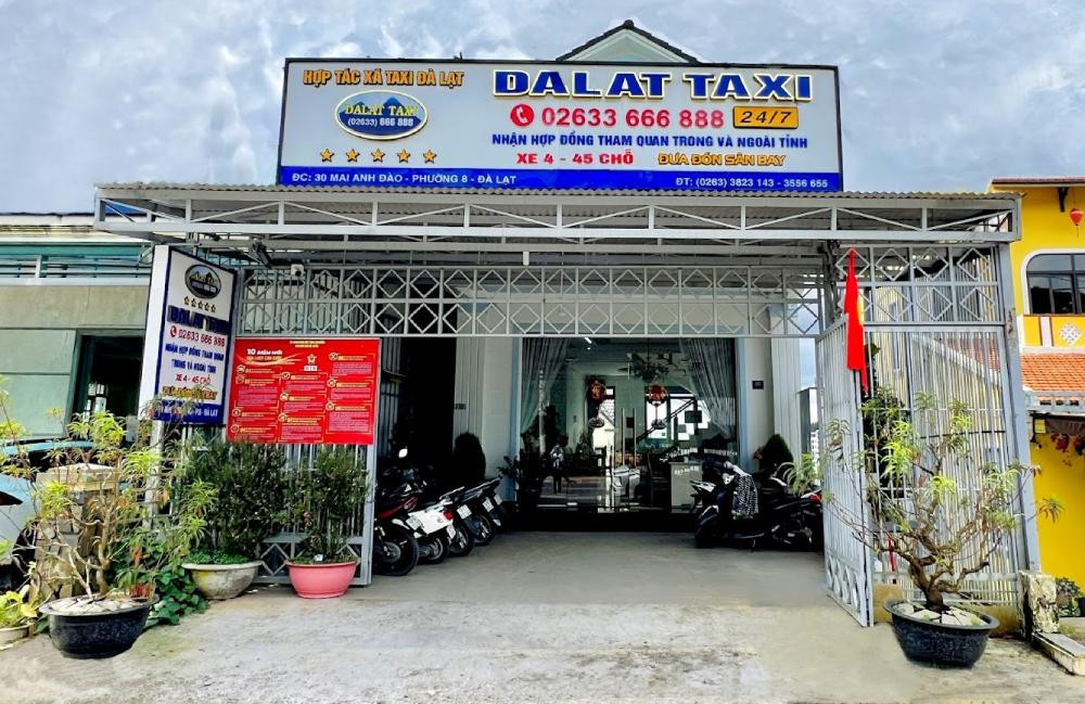 Đội xe taxi của HTX Taxi Đà Lạt với màu sắc nhận diện đơn giản, sẵn sàng phục vụ