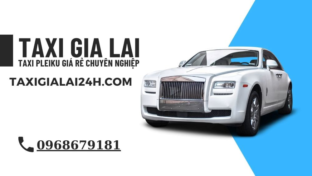 Đội xe taxi Gia Lai 24h đa dạng phục vụ hành khách