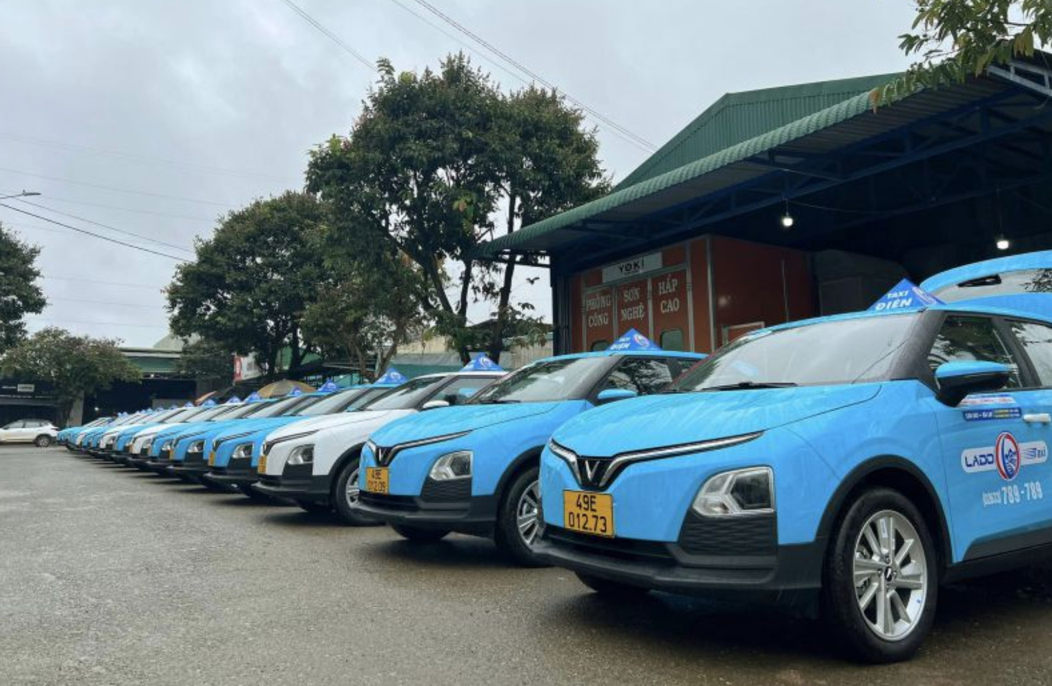 Đội xe taxi hiện đại phục vụ hành khách tại tỉnh Lâm Đồng.