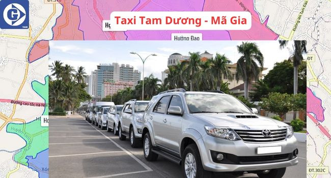 Đội xe Taxi Mã Gia tại Tam Dương