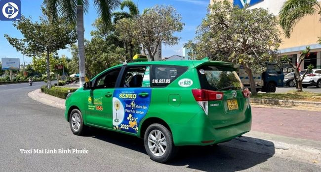 Đội xe taxi Mai Linh đậu chờ phục vụ khách hàng tại Gia Lai