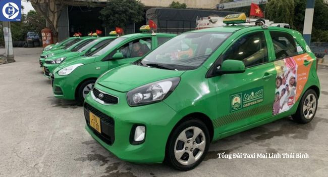 Đội xe Taxi Mai Linh Gia Lai sẵn sàng phục vụ