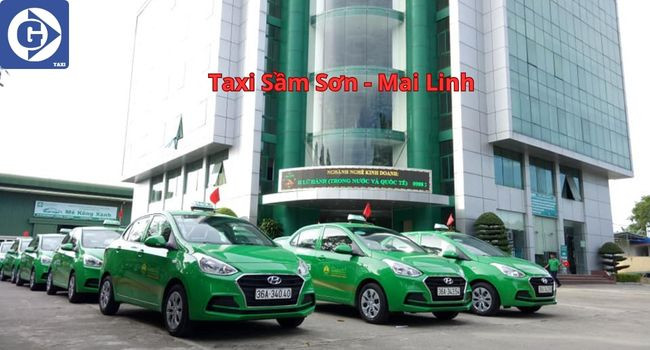 Dòng xe taxi màu xanh lá cây đặc trưng của Mai Linh xếp hàng chờ khách tại một điểm dừng ở Sầm Sơn