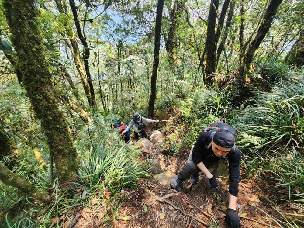 Du khách đang trekking qua rừng cây và đá tại Hố Trời