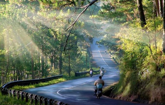 Du khách tận hưởng không khí trong lành tại một điểm tham quan xanh mát ở Đà Lạt sau chuyến xe Nha Trang Đà Lạt