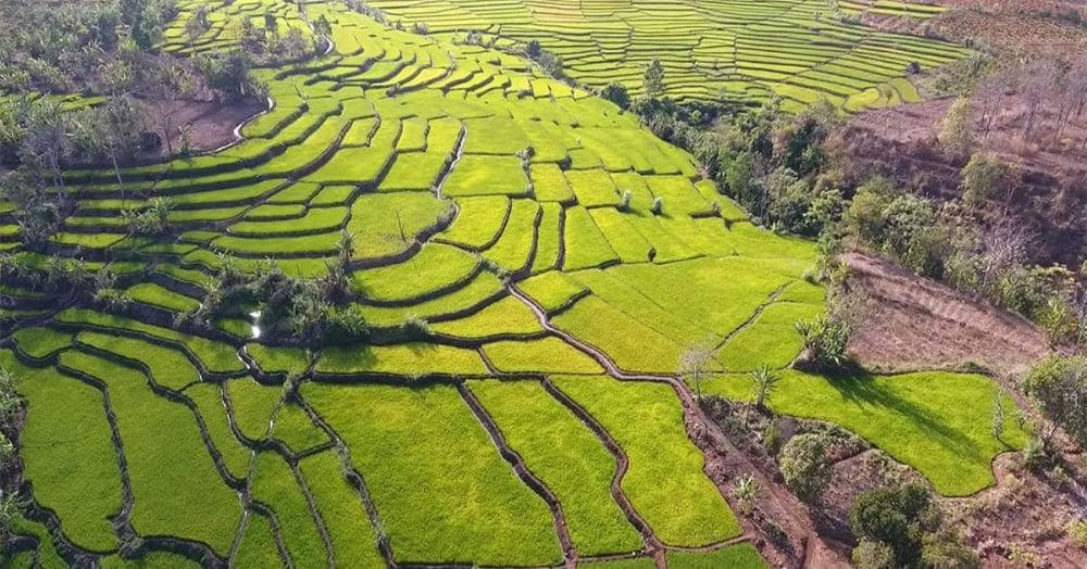 Đường trekking khám phá hệ sinh thái quanh Thác Đôi Gia Lai