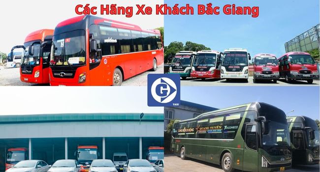 Giao diện ứng dụng đặt vé xe khách Bắc Giang trên điện thoại