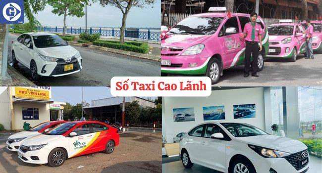Giao diện ứng dụng di động GV Taxi giúp tra cứu số taxi Cao Lãnh