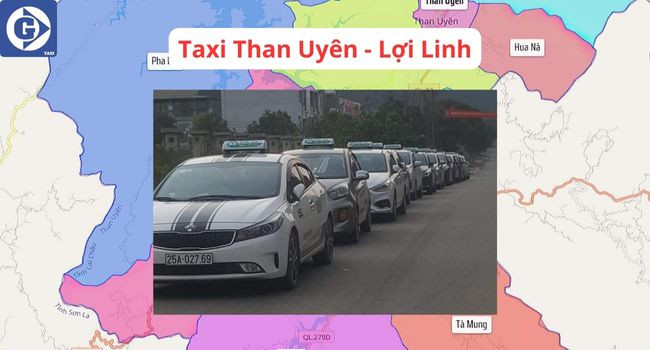 Hàng loạt xe taxi sẵn sàng phục vụ