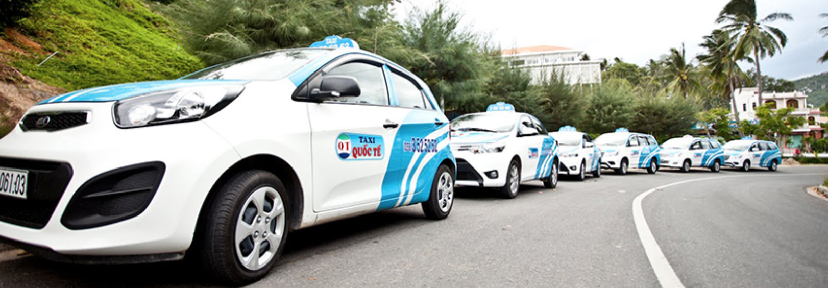 Hãng taxi uy tín với nhiều lựa chọn xe tại Lâm Đồng.