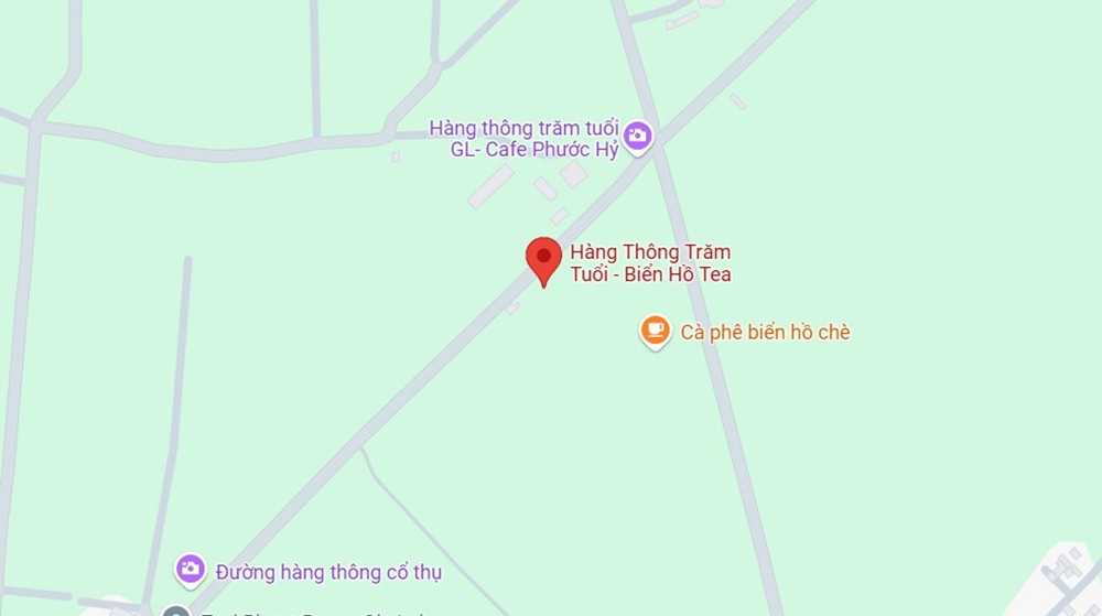 Hàng thông trăm tuổi, con đường cổ kính và thơ mộng gần Biển Hồ Chè
