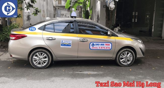 Hình ảnh giao diện ứng dụng di động hiển thị thông tin chuyến xe và bản đồ, thể hiện công nghệ hỗ trợ trong ngành taxi