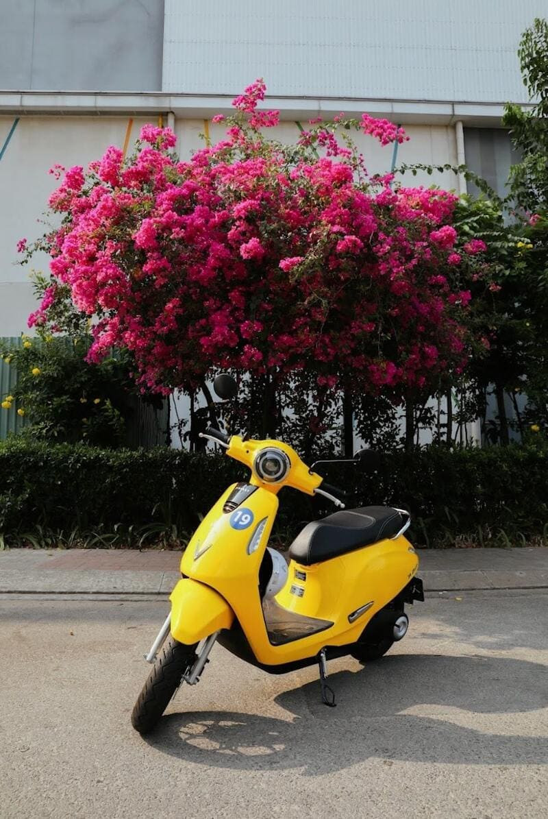 Hình ảnh xe 50cc và xe máy điện phổ biến với học sinh, sinh viên