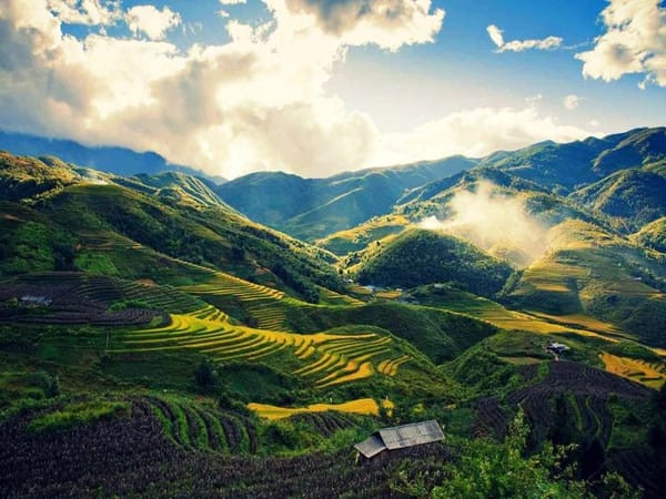 Hồ bơi vô cực tại homestay sang trọng nhìn ra núi rừng Tây Bắc, điểm nhấn cho trải nghiệm du lịch miền núi