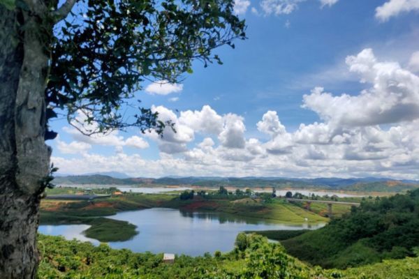 Hồ Đại Ninh Đức Trọng