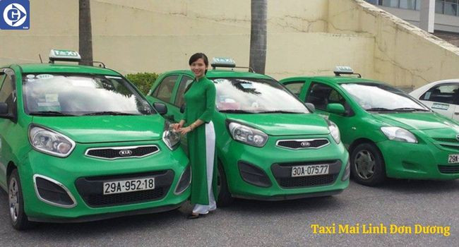 Khách hàng tải ứng dụng GVTaxi để đặt xe Taxi Mai Linh Đơn Dương nhanh chóng