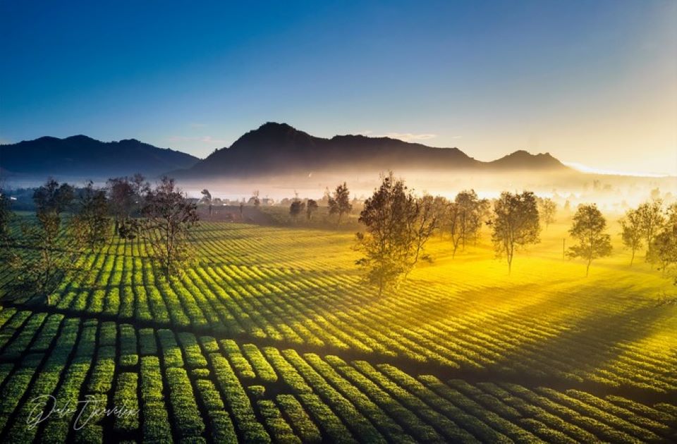 Khám phá Biển Hồ Chè giữa lòng cao nguyên rộng lớn